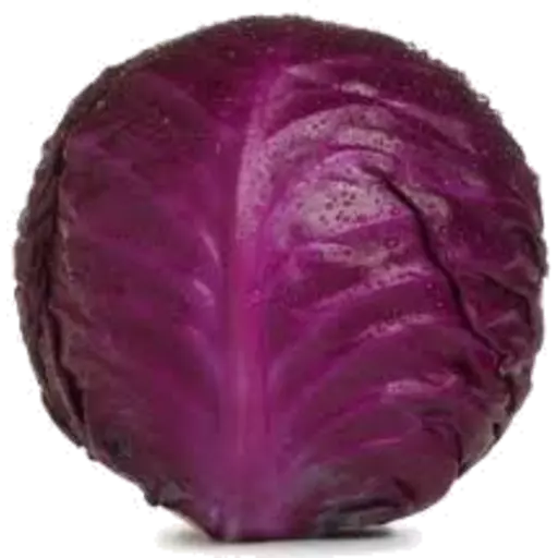 Organic Cabbage red Dec
