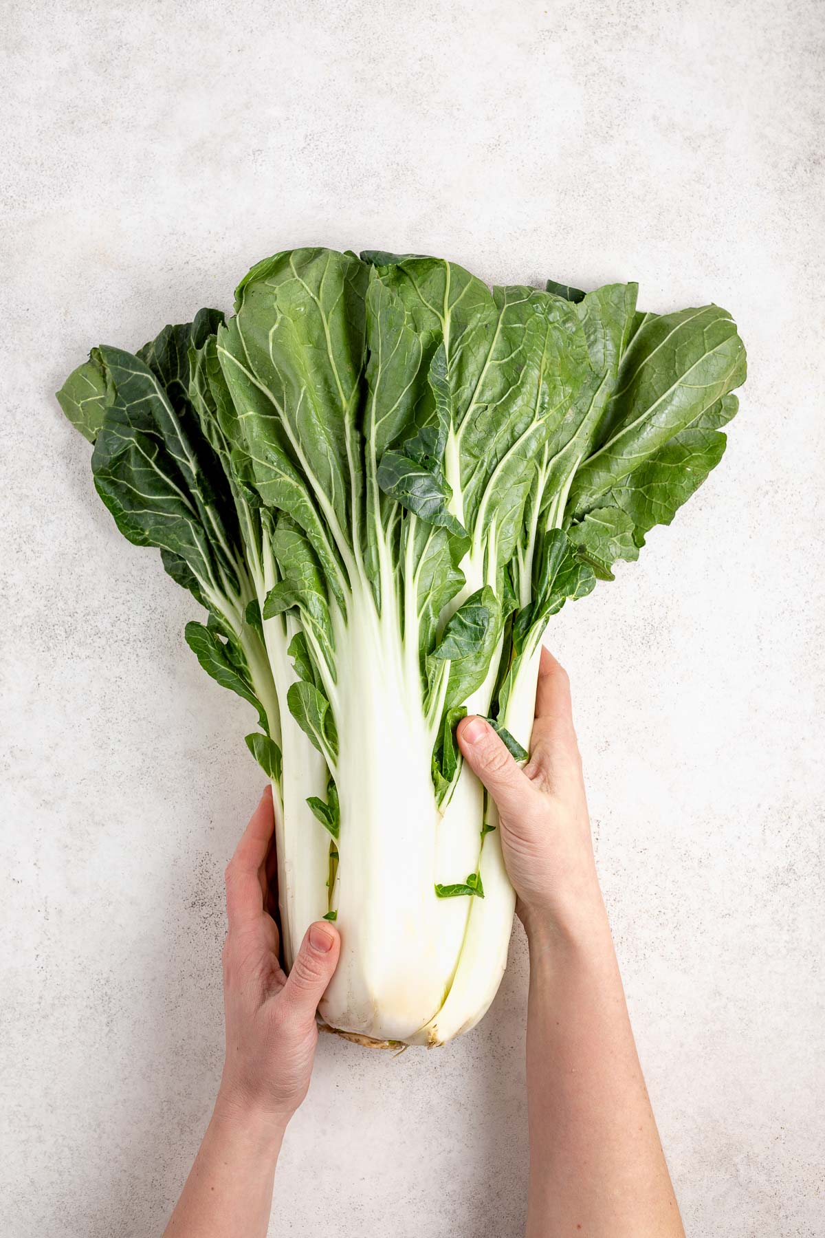 Organic Bok Choy Dec