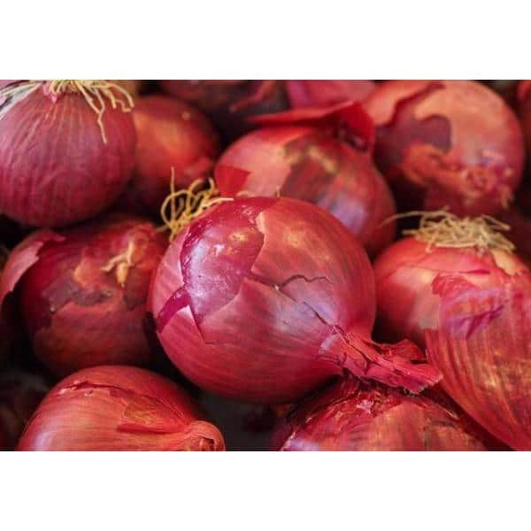 Organic Red Onion