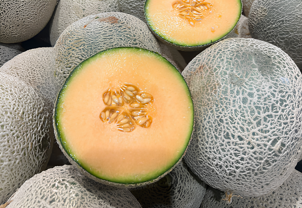 organic rockmelon