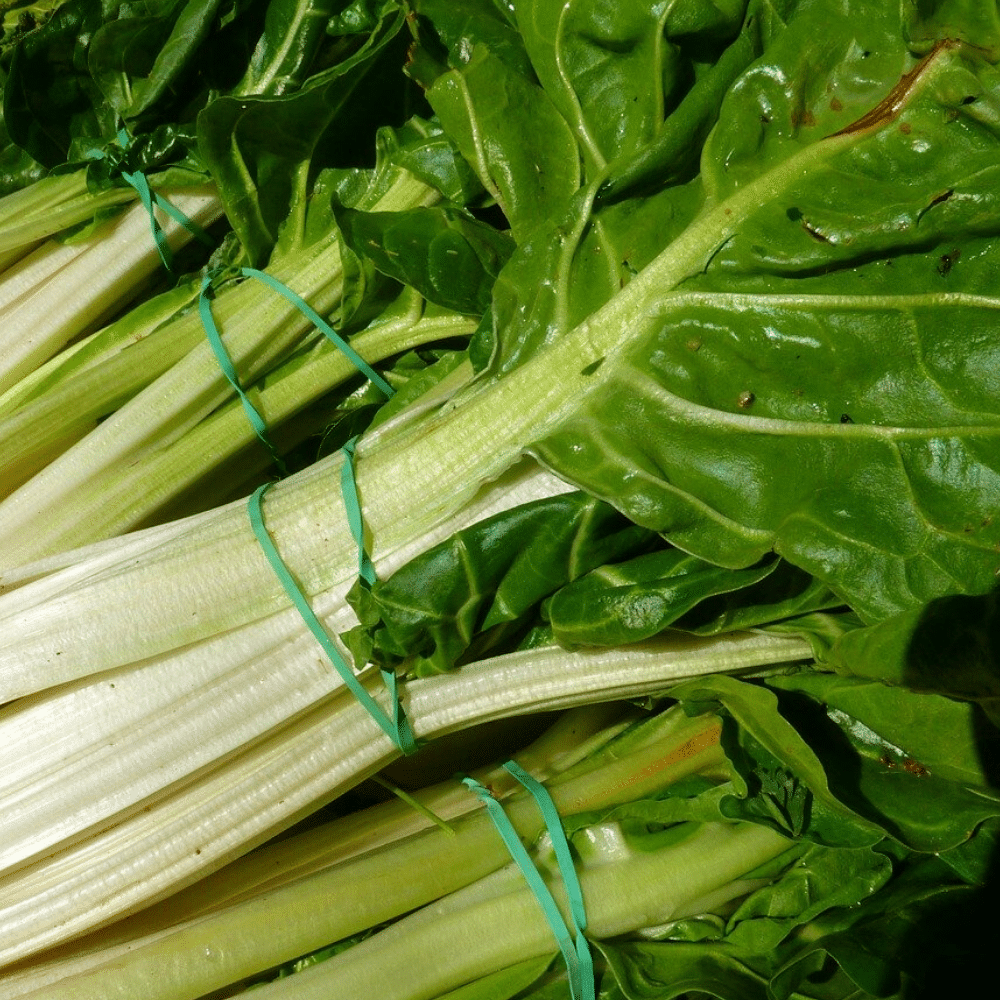 Silverbeet- bunch