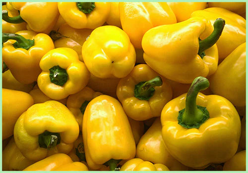 Organic Capsicums Yellow
