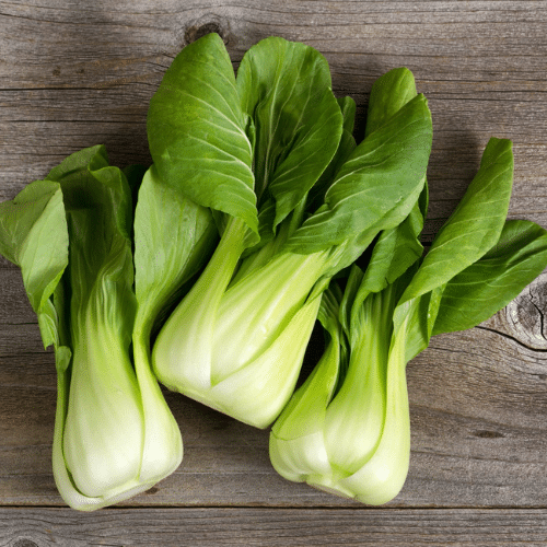 Organic bok Choy Bunch