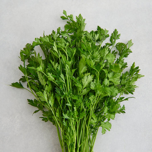 Organic Parsley FLAT DEC