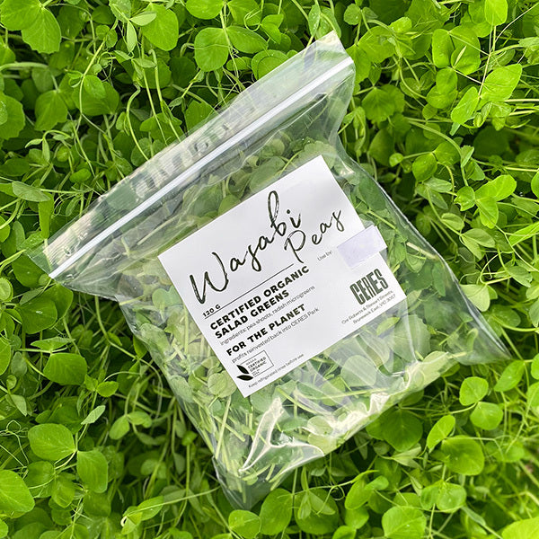 Organic Microgreens WASABI PEAS SHOOTS - 120 gm