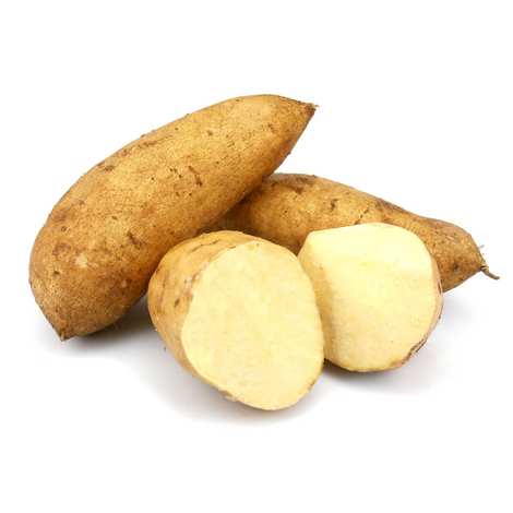 Organic Sweet Potatoes WHITE