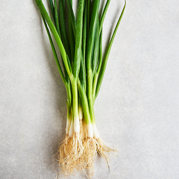 Organic Spring Onions DEC