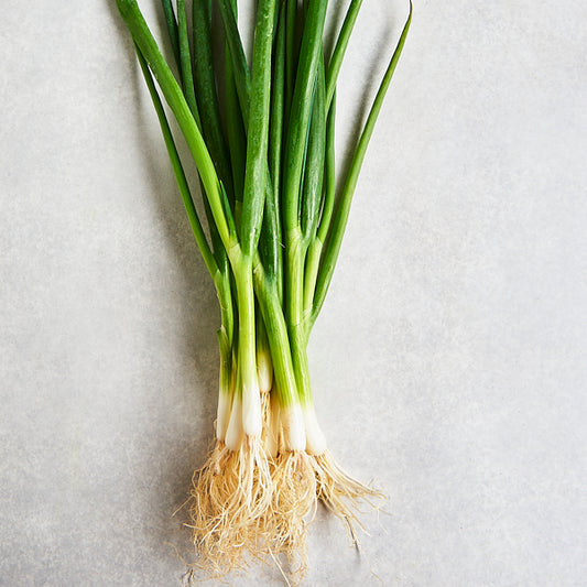 Organic Spring Onions DEC