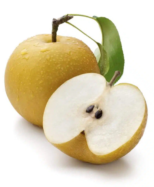 Nashi Pears