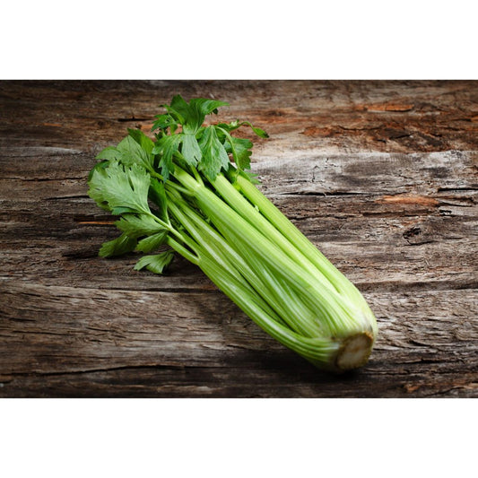 Organic Celery-1 Bunch