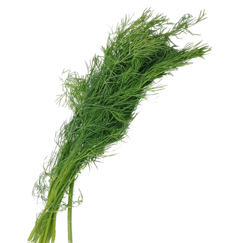 Herbs- dill