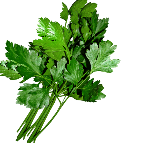 Herbs- parsley organic