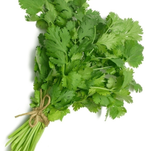 Herbs- coriander