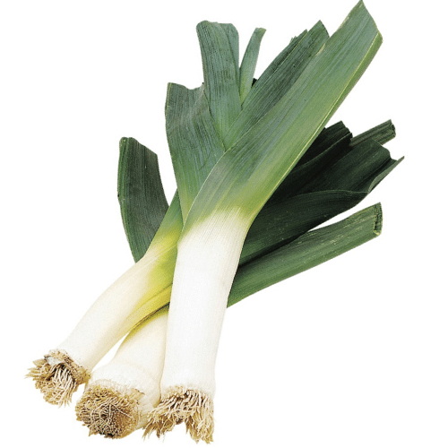 Leek- bunch