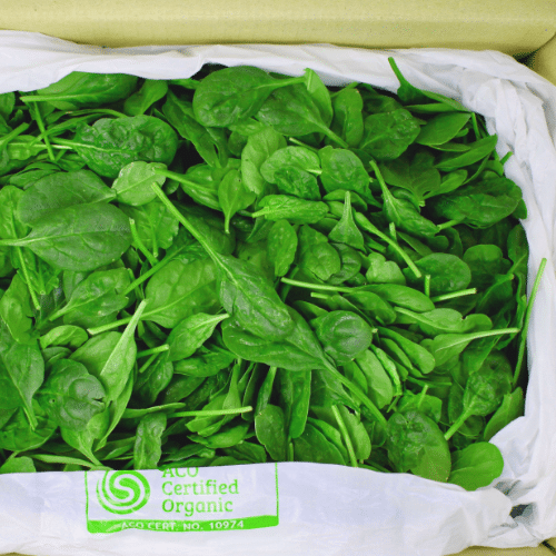 Orgaic Baby Spinach- 1.5kg box