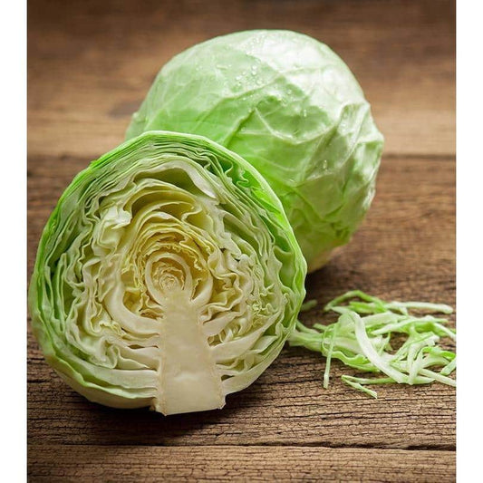 Organic Cabbage-green