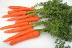 Organic Carrots DUTCH DEC