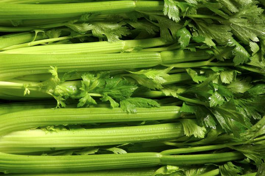Organic Celery Box