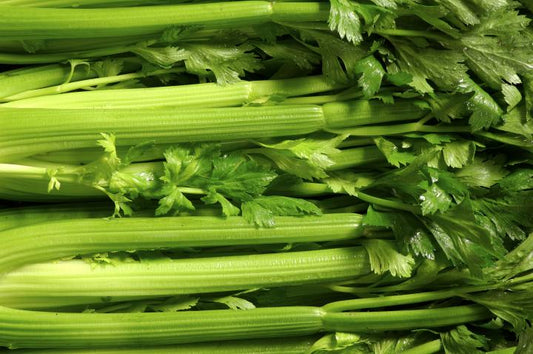 Celery Box