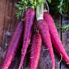 Organic Carrots PURPLE