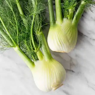 Organic Fennel DEC