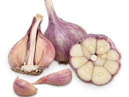 Organic Garlic Purple