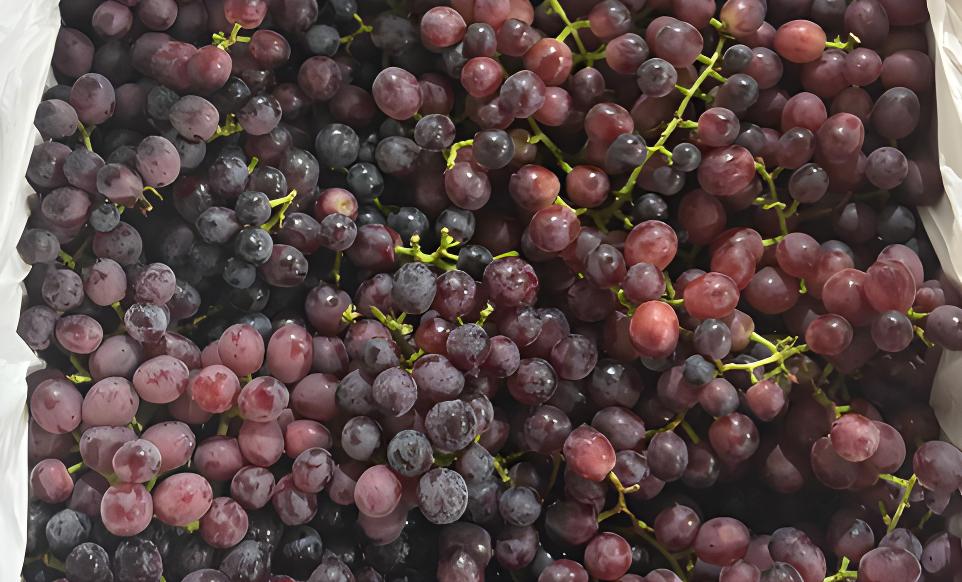 Organic Grapes-Red