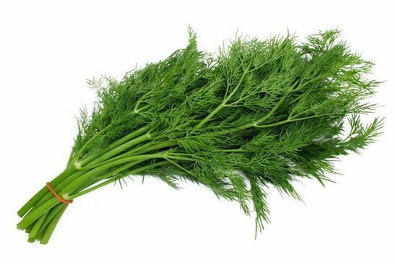 Organic Dill