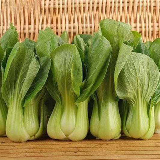 Organic Pak Choy Bunch