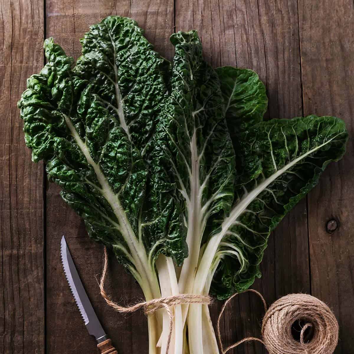 Organic Silverbeet Bunch