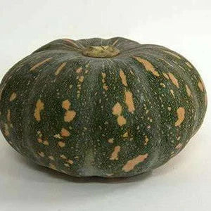 Organic Pumpkin Jap Approx 2 kg