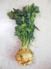 Organics Celeriac 2kg bag