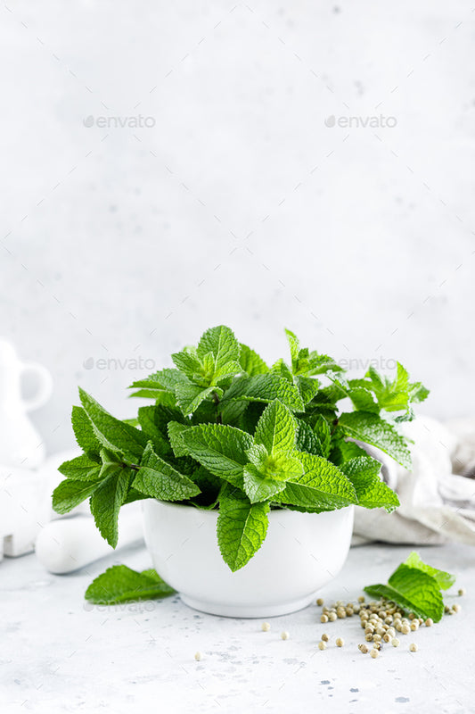 Organic Mint Bunch