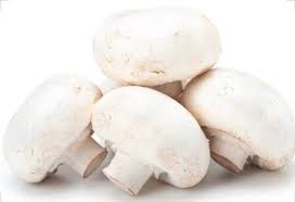 Organic Mushroom WHITE 180g