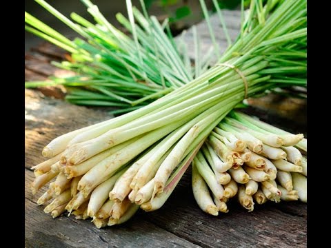 Organic Lemongrass