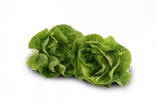 Organic Lettuce baby cos