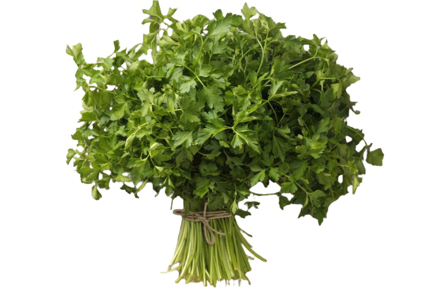 parsley