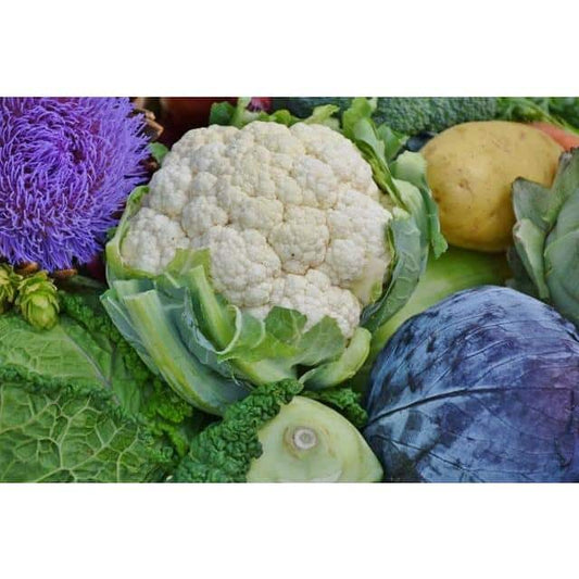 Organic Cauliflower Each