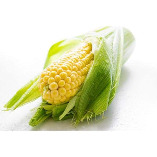 Organic Corn Cob