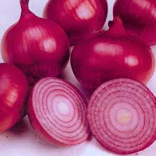 organic pickler onion