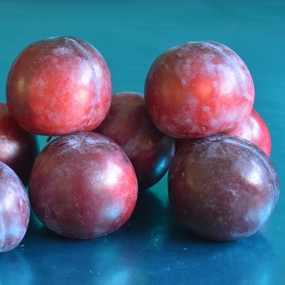 Organic Plums ANGELINO