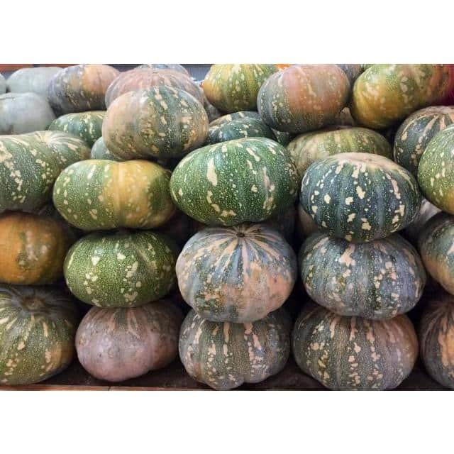 Pumpkin Jap- approx 2kg