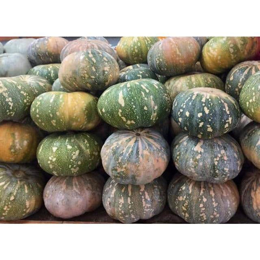 Pumpkin Jap- approx 2kg